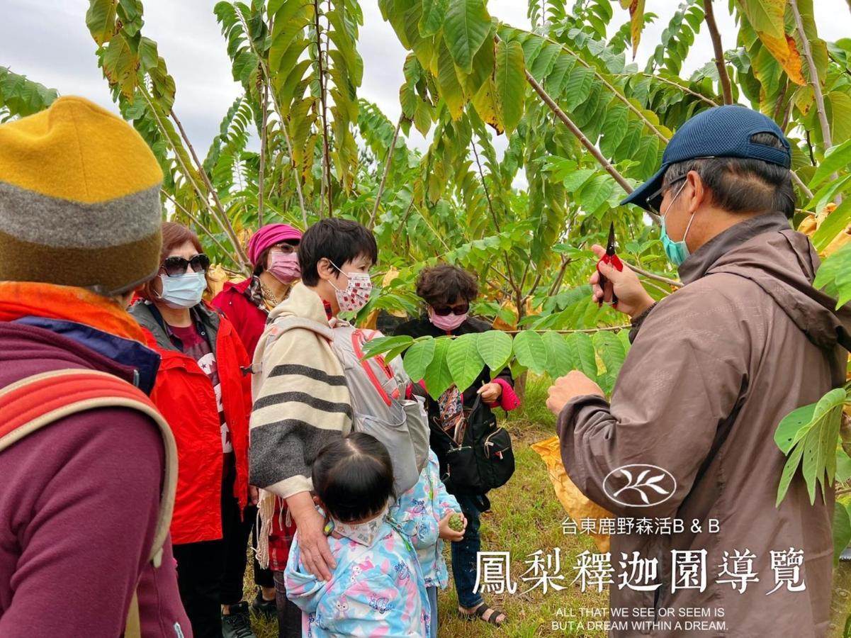台東鹿野森活 訂房後來電確認 Lägenhet Exteriör bild